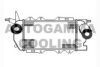 AUTOGAMMA 104045 Intercooler, charger